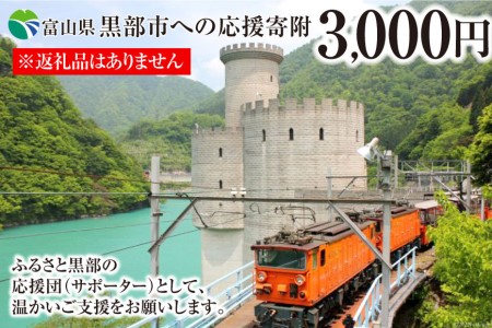 黒部市への応援寄附（返礼品はありません）1口 3,000円 返礼品なし 地域のお礼の品 