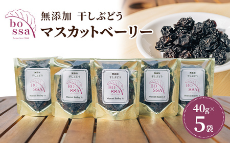 Y Ԃǂ {bT̊Ԃǂ 40g×5 }XJbgx[[Ai킠jY [Y hCt[c sgp/xRs ʕHi t[cHi ÂT ܂ |