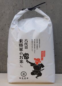 無洗米「六代目米将軍」 令和6年産 ななつぼし10kg (C14)
