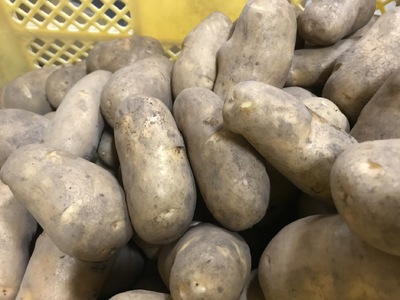 じゃがいも(メークイン) M・Lサイズ混合 17kg(B38)