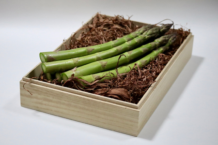 [北海道由仁町]春の恵みをお届け!朝採りグリーンアスパラ(QQ02)