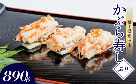 Ԃ(ԂE890g)_ECY   _yzsnFzy1318701z