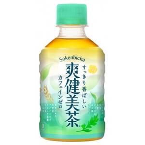爽健美茶280mlPET×24本_飲料・ドリンク 飲料 茶 _【1551258】
