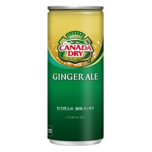 カナダドライジンジャーエール250ml缶×30本_飲料・ドリンク 炭酸飲料 ジュース _