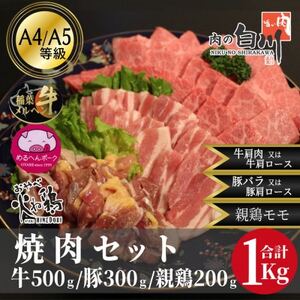 ׂ̂ēZbg1kg(aJr500gE300gEe{200g)yzsnFEkCEꌧEkEElEBzy1291450z