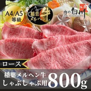 tw(A4-A5)Ԃԗp@[X800gyzsnFEkCEꌧEkEElEBzy1291578z