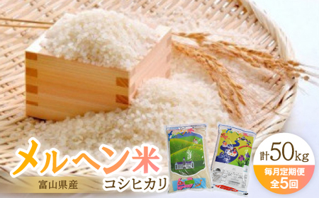 [毎月定期便]富山県メルヘン米コシヒカリ計50kg(10kg×5回)全5回