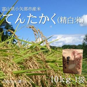 y2025N9{珇zߘa7NYāuĂ񂽂v()10kg×1܁y1655823z