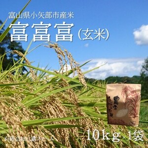 yVĐst(2025N10{珇)zߘa7NxRYuxxxv()10kg×1܁y1656107z
