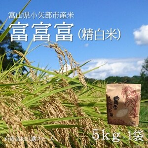 yVĐst(2025N10{珇)zߘa7NxRYuxxxv()5kg×1܁y1656120z