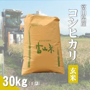 令和7年産「コシヒカリ」玄米30kg×1袋