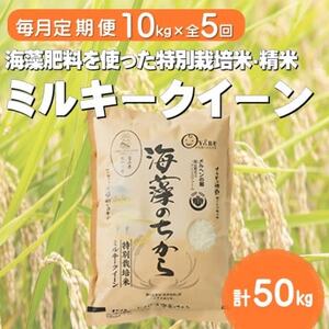 yցz~L[NC[(Ĉ)()10kgS5y4075148z