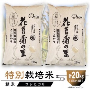 ʍ͔|20kg (/RVqJ10kg×2)y1670507z