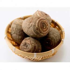 uꕶ̗v10kgy1682108z