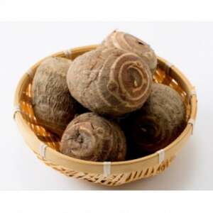 yTCYzuꕶ̗v2.8kgy1682110z