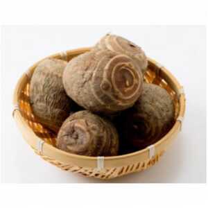 yցzuꕶ̗v5kgS2y4076779z