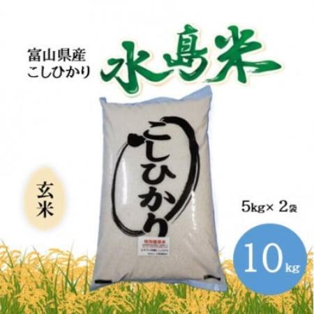 栽培期間中農薬・化学肥料不使用　こしひかり　玄米 5kg×2袋(10kg)【1735073】