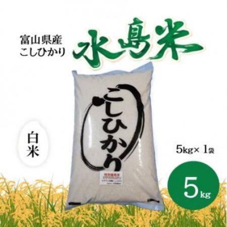 栽培期間中農薬・化学肥料不使用　こしひかり　白米 5kg×1袋(5kg)【1735134】