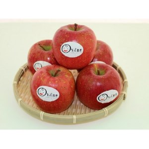 (ӂ)5kg/16`20ʁy1290520z