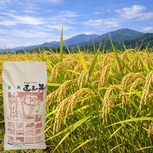 富山県産コシヒカリ『医王の舞』白米10kg