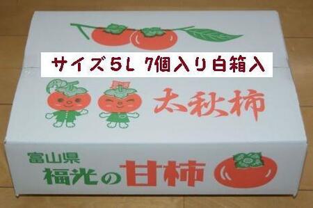 Ê`@H`5L×7i2.53kgȏj y2025N1017蔭z