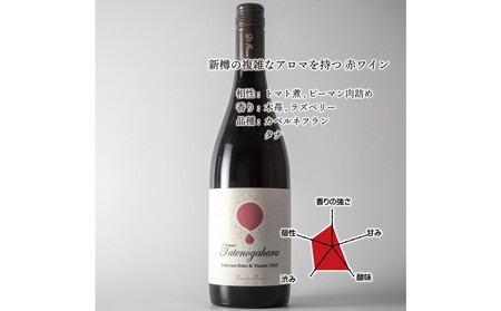 立野原 カベルネフラン&タナ2023 ワイナリー風景ポチ袋5枚セット付き