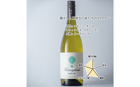 立野原 リースリング 2024 ワイナリー風景ポチ袋5枚セット付き