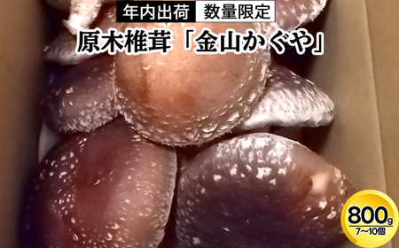 [年内出荷]数量限定 原木椎茸「金山かぐや」射水市金山産 /おせち材料 正月 料理 きのこ 野菜 山菜/富山県射水市 ※2025年12月中旬〜2026年4月下旬頃に順次発送予定