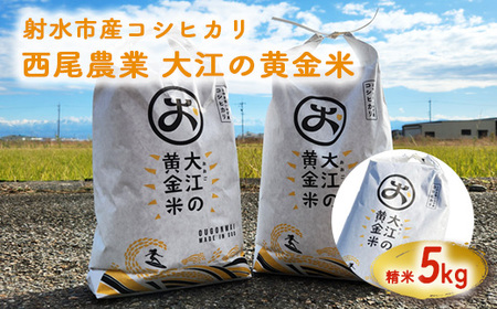 R7年度米 大江の黄金米 コシヒカリ5kg | 射水市 西尾農業 黄金米 射水の美味しいお米 精米 ※離島への配送不可