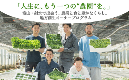 [射水市][農業][体験]スプラウト農家(豆苗、カイワレ、ブロッコリースプラウト)オーナー権