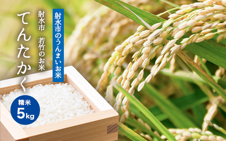 [射水市][射水の美味しいお米]若竹のお米 R7年度産 てんたかく5kg[精米] ※離島への配送不可 ※2025年9月上旬〜9月下旬頃に順次発送予定