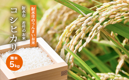 [射水市][射水の美味しいお米]若竹のお米 R7年度産 コシヒカリ5kg[精米] ※離島への配送不可 ※2025年10月上旬〜10月下旬頃に順次発送予定