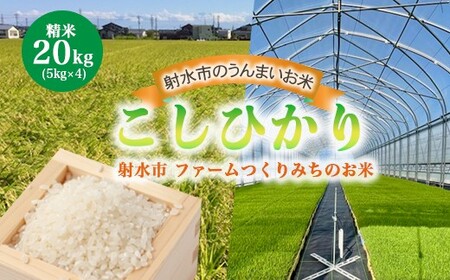yːszyː̔āzt@[݂̂ 쓹R7NxYЂ 20kgi5kg×4jyāz ւ̔zs
