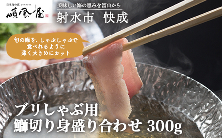 yːszyː̂HizyCNzuԗp@ܐ؂g荇킹 300g@ւ̔zs@2025N12{`2026N1{ɏ\