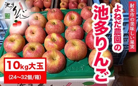 yː̂ʎzyьz ˂_̒r Tӂ 10kgʁi24`32^j Eւ̔zs 2025N11{`12{ɏ\