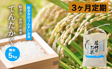 [3ヶ月定期便][射水市][射水の美味しいお米]若竹のお米 R8年度産てんたかく5kg | 新米 先行予約 令和8年産米 ブランド米 銘柄米 こめ 白米 富山県 ※離島への配送不可 ※2026年9月上旬〜9月下旬頃に順次発送予定