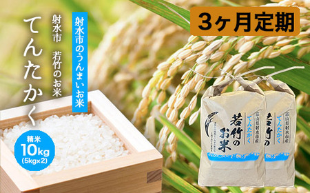 [3ヶ月定期便][射水市][射水の美味しいお米]若竹のお米 R8年度産てんたかく10kg(5kg×2) 