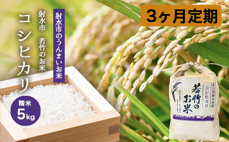 [3ヶ月定期便][射水市][射水の美味しいお米]若竹のお米 R8年度産コシヒカリ5kg 