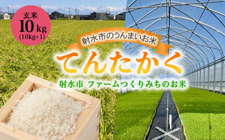 [射水市][射水の美味しいお米]ファームつくりみちのお米 作道米 R8年度産てんたかく10kg(10kg×1)[玄米]