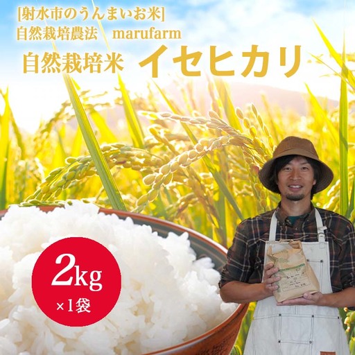 [射水の美味しいお米][自然栽培農法]自然栽培農家 marufarm 自然栽培米「イセヒカリ」2kg ※2026年10月〜発送