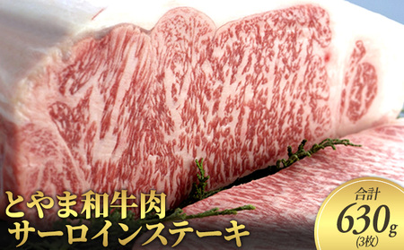 とやま和牛肉 サーロイン ステーキ 合計630g 3枚 牛肉 和牛 肉 お肉 牛