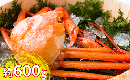 紅ズワイガニ約600g[棚辺水産]