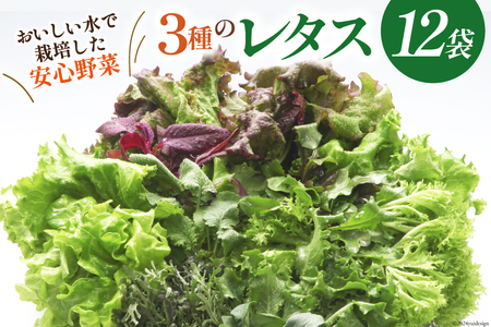 富山のおいしい水で生産した安心野菜（12袋） / 北陸機材 / 富山県 舟橋村