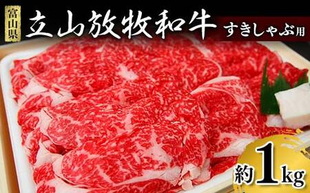  Ă Rqa ԗp 1 1kg Ⓚ [KEMEAT₫ Ԃ a Y q   O Ԑg xR R Ε  F6T-171