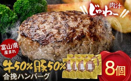 富山県産 牛50% 豚50% 合挽ハンバーグ 8個セット カシワファーム 和牛 牛肉 おかず 惣菜 時短 冷凍 富山県 立山町 お歳暮 お中元 F6T-553