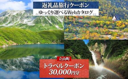富山県 立山町 旅行クーポン 30,000 円分 キャンプ 体験 登山 観光 旅行 ホテル 旅館 老舗 高級 トラベル チケット 家族 カップル 宿泊 予約 おすすめ 父の日 母の日 旅行券 宿泊券 F6T-786