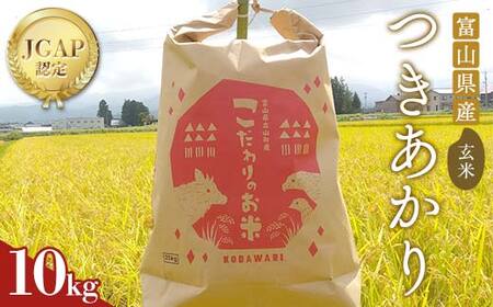 [数量限定]令和7年度産 つきあかり 玄米 10kg 米 お米 新米 ごはん おにぎり 富山 立山 北アルプス 健康志向 JGAP認定 F6T-845