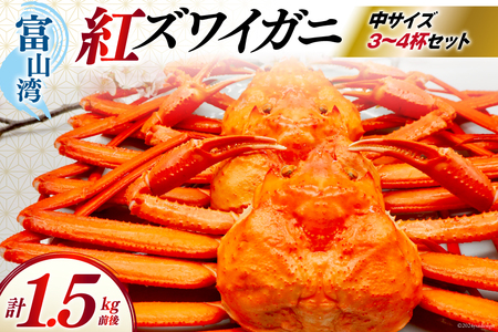 [期間限定発送] [漁師厳選] 紅ズワイガニ ボイル済 中サイズ3〜4杯 計1.5kg前後 [聖徳丸 富山県 朝日町 34310513] 海鮮 魚介類 カニ ベニズワイガニ 紅ズワイ ベニズワイ 紅ズワイ蟹 ボイル 冷蔵 ご褒美