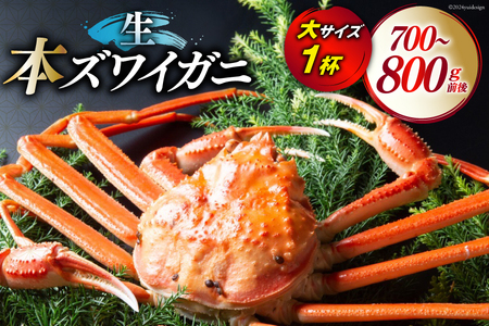 yԌ蔭z ytIz {YCKj TCY1t (700g`800gO) [ xR  34310514] CN  Jj YCKj 킢I YCI 킢 YC  Jj ① 