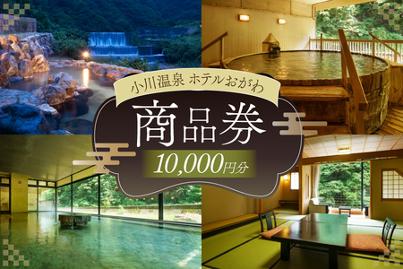 商品券 小川温泉 ホテルおがわ 1000円 10枚 計 10000円 [小川温泉開発 富山県 朝日町 34310495]